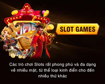 Chương trình VIP 22win